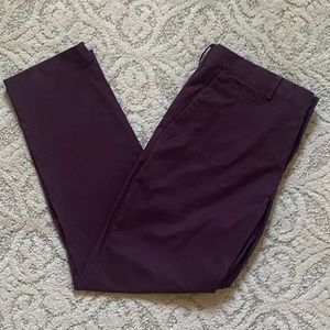 Express Photographer dress pants 33X30